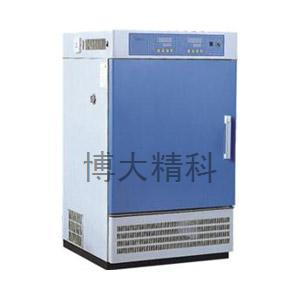 BPH-250A 高低温试验箱 