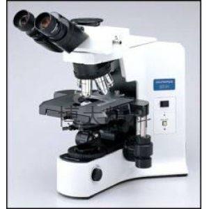 日本OLYMPUS奥林巴斯 BX41系列生物显微镜