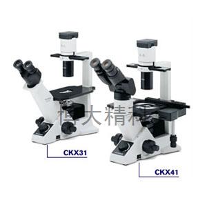 日本OLYMPUS奥林巴斯 CKX31系列临床级倒置显微镜