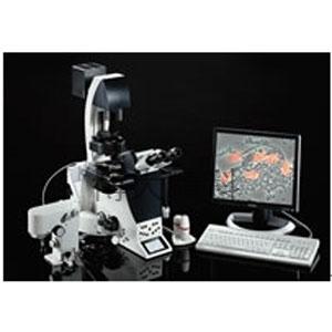 Leica-德国莱卡 DMI6000B 倒置生物显微镜