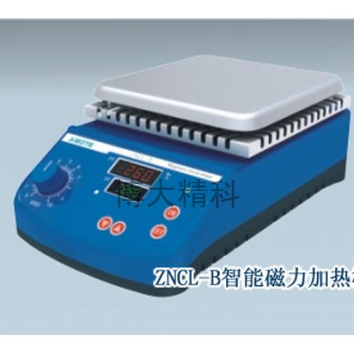 磁力搅拌器ZNCL-B (140*140)